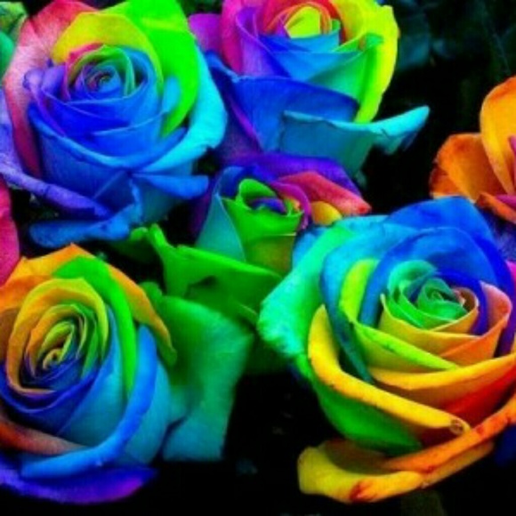 Meet your Posher, Jess - Picture 1 of 1